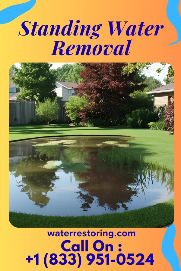 Standing Water Removal in Silver Creek, NE